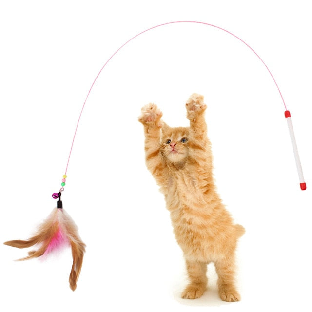 Feather Wand With Small Bell Mouse Cage