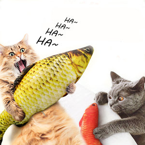 3D Plush Fish