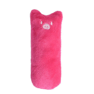 Mini Teeth Grinding Catnip Toy