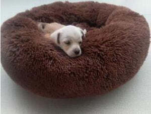 Fluffy Cat Cushion Bed