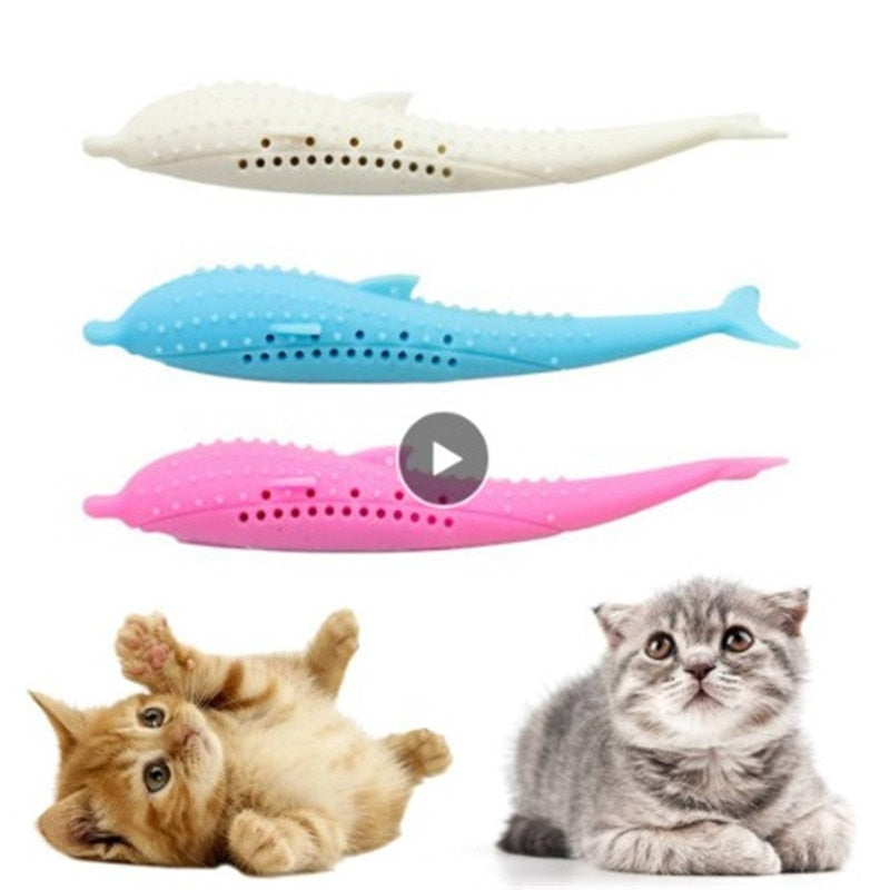 Dental Massage Toy