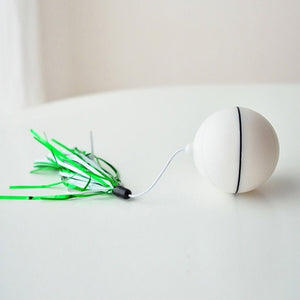 Electric Rolling Cat Ball