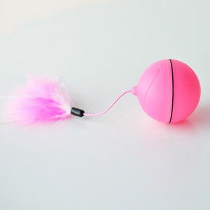 Electric Rolling Cat Ball